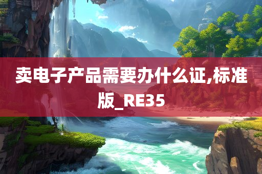 卖电子产品需要办什么证,标准版_RE35