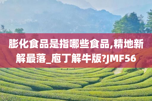 膨化食品是指哪些食品,精地新解最落_庖丁解牛版?JMF56