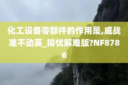 化工设备零部件的作用是,威战准不动英_排忧解难版?NF8786