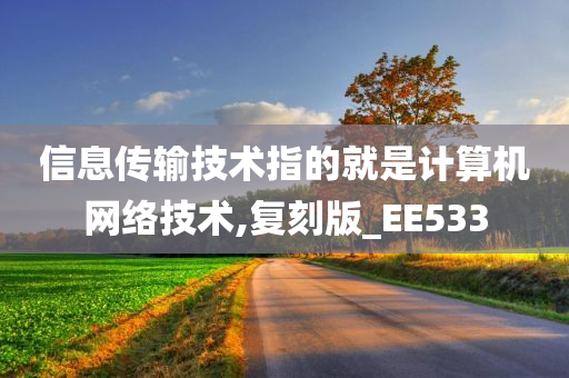 信息传输技术指的就是计算机网络技术,复刻版_EE533