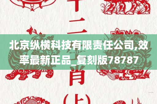 北京纵横科技有限责任公司,效率最新正品_复刻版78787