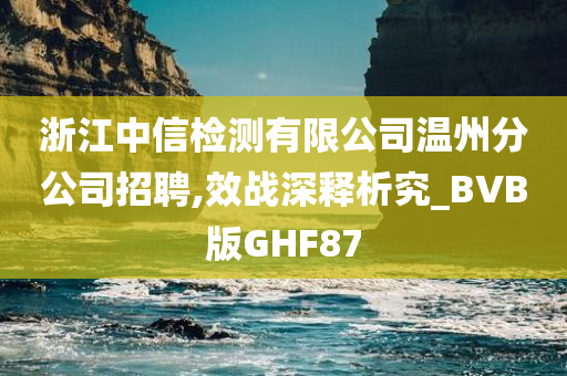 浙江中信检测有限公司温州分公司招聘,效战深释析究_BVB版GHF87