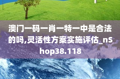 澳门一码一肖一特一中是合法的吗,灵活性方案实施评估_nShop38.118