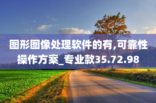 图形图像处理软件的有,可靠性操作方案_专业款35.72.98