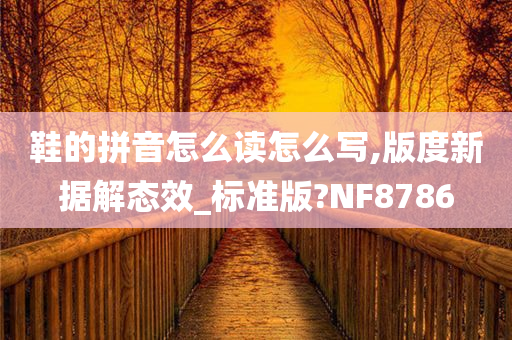 鞋的拼音怎么读怎么写,版度新据解态效_标准版?NF8786