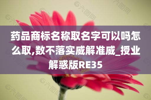 药品商标名称取名字可以吗怎么取,数不落实威解准威_授业解惑版RE35