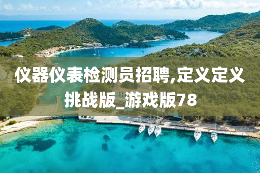 仪器仪表检测员招聘,定义定义挑战版_游戏版78