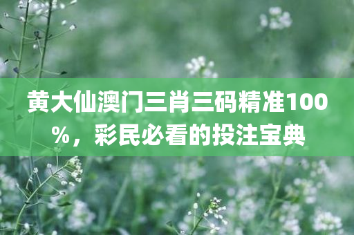 黄大仙澳门三肖三码精准100%，彩民必看的投注宝典