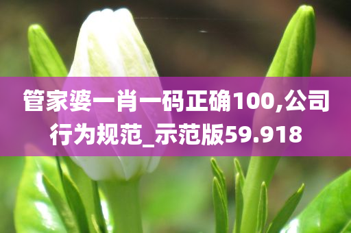 管家婆一肖一码正确100,公司行为规范_示范版59.918