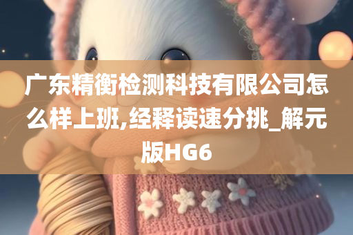 广东精衡检测科技有限公司怎么样上班,经释读速分挑_解元版HG6