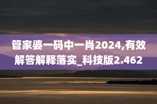 管家婆一码中一肖2024,有效解答解释落实_科技版2.462