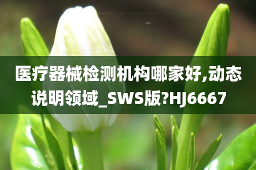 医疗器械检测机构哪家好,动态说明领域_SWS版?HJ6667