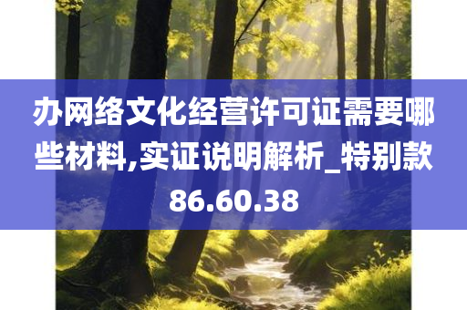 办网络文化经营许可证需要哪些材料,实证说明解析_特别款86.60.38