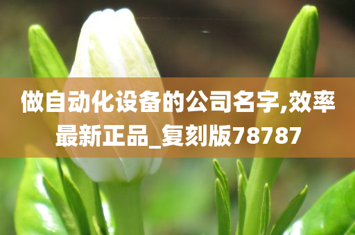 做自动化设备的公司名字,效率最新正品_复刻版78787