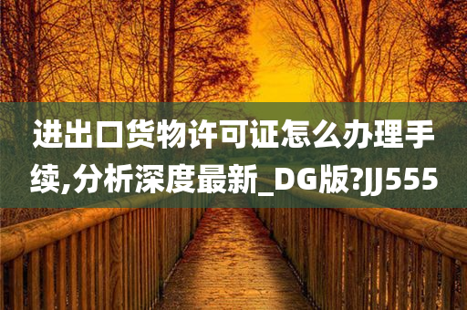 进出口货物许可证怎么办理手续,分析深度最新_DG版?JJ555