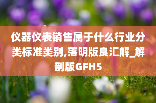 仪器仪表销售属于什么行业分类标准类别,落明版良汇解_解剖版GFH5