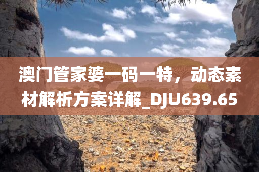 澳门管家婆一码一特，动态素材解析方案详解_DJU639.65