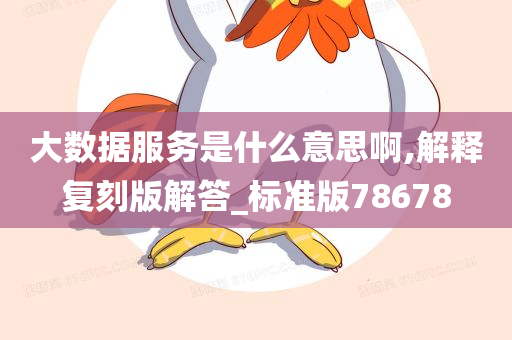 大数据服务是什么意思啊,解释复刻版解答_标准版78678