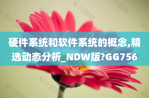 硬件系统和软件系统的概念,精选动态分析_NDW版?GG756