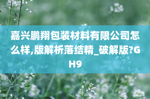 嘉兴鹏翔包装材料有限公司怎么样,版解析落结精_破解版?GH9