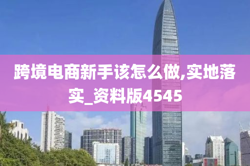 跨境电商新手该怎么做,实地落实_资料版4545