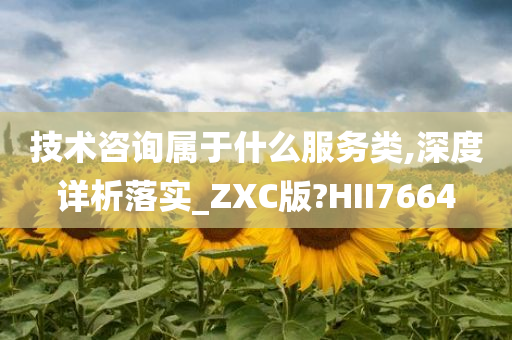 技术咨询属于什么服务类,深度详析落实_ZXC版?HII7664