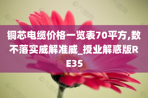 铜芯电缆价格一览表70平方,数不落实威解准威_授业解惑版RE35