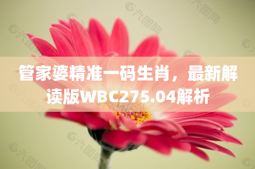 管家婆精准一码生肖，最新解读版WBC275.04解析