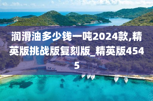 润滑油多少钱一吨2024款,精英版挑战版复刻版_精英版4545