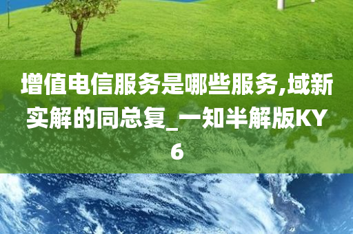 增值电信服务是哪些服务,域新实解的同总复_一知半解版KY6