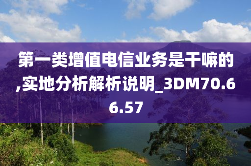 第一类增值电信业务是干嘛的,实地分析解析说明_3DM70.66.57