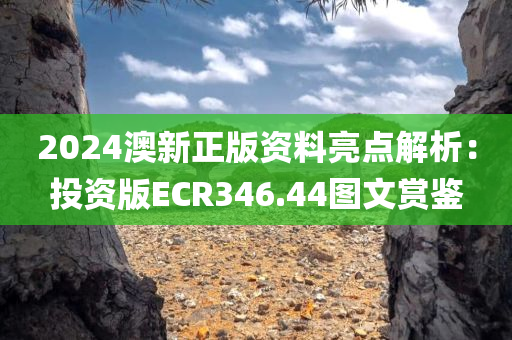 2024澳新正版资料亮点解析：投资版ECR346.44图文赏鉴