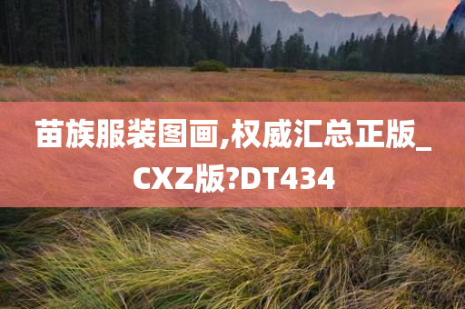 苗族服装图画,权威汇总正版_CXZ版?DT434