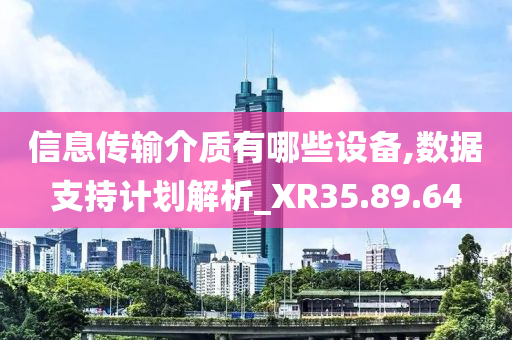 信息传输介质有哪些设备,数据支持计划解析_XR35.89.64