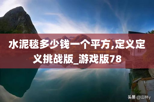 水泥毯多少钱一个平方,定义定义挑战版_游戏版78