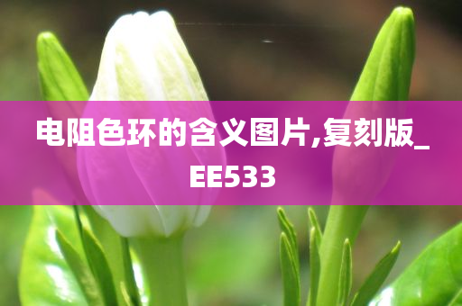 电阻色环的含义图片,复刻版_EE533