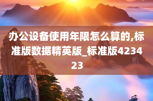 办公设备使用年限怎么算的,标准版数据精英版_标准版423423