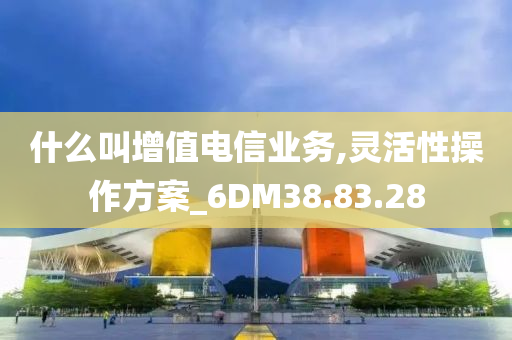 什么叫增值电信业务,灵活性操作方案_6DM38.83.28