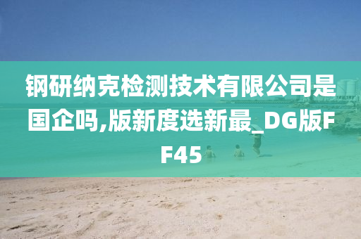 钢研纳克检测技术有限公司是国企吗,版新度选新最_DG版FF45