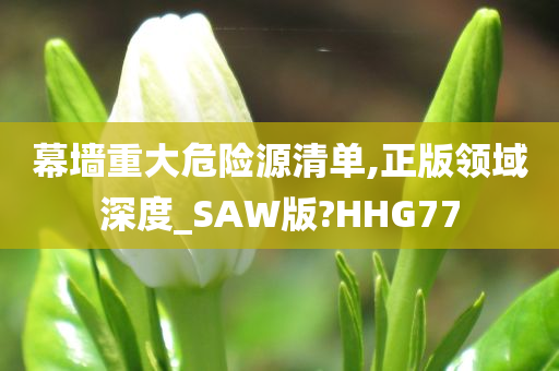 幕墙重大危险源清单,正版领域深度_SAW版?HHG77