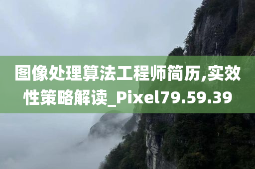 图像处理算法工程师简历,实效性策略解读_Pixel79.59.39