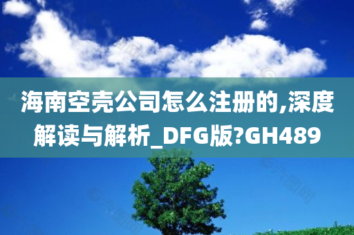 海南空壳公司怎么注册的,深度解读与解析_DFG版?GH489