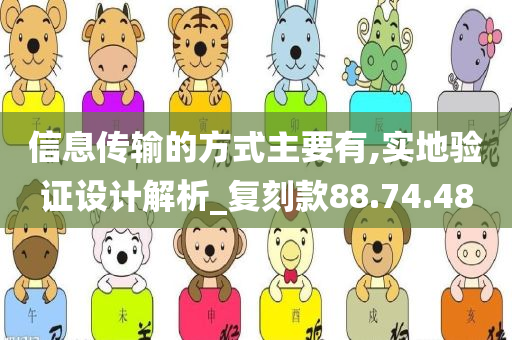 信息传输的方式主要有,实地验证设计解析_复刻款88.74.48