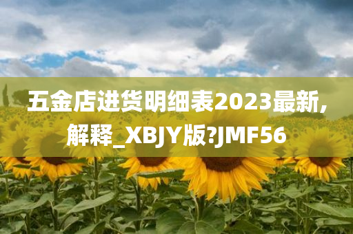 五金店进货明细表2023最新,解释_XBJY版?JMF56