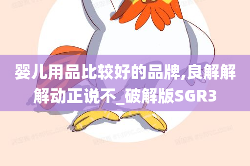 婴儿用品比较好的品牌,良解解解动正说不_破解版SGR3