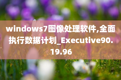 windows7图像处理软件,全面执行数据计划_Executive90.19.96