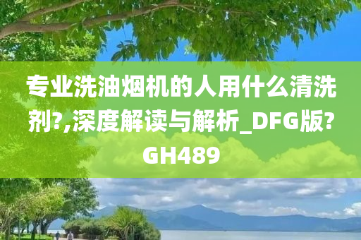 专业洗油烟机的人用什么清洗剂?,深度解读与解析_DFG版?GH489