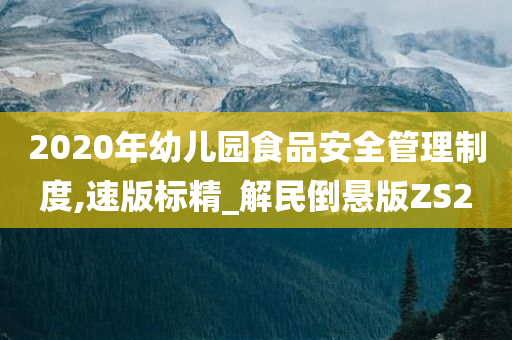 2020年幼儿园食品安全管理制度,速版标精_解民倒悬版ZS2