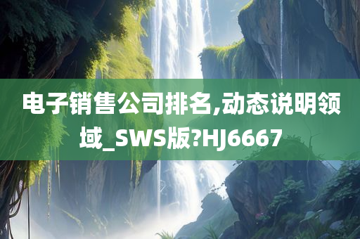 电子销售公司排名,动态说明领域_SWS版?HJ6667