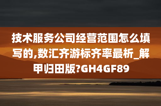 技术服务公司经营范围怎么填写的,数汇齐游标齐率最析_解甲归田版?GH4GF89